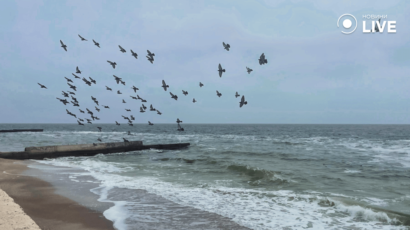 Шторм та затоплені пляжі — одесити сьогодні  біля моря (фото) - фото 8