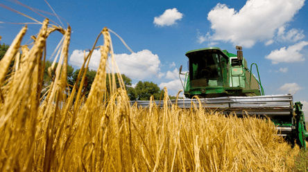 Ціни на зерно — про які зміни попереджають експерти - 285x160