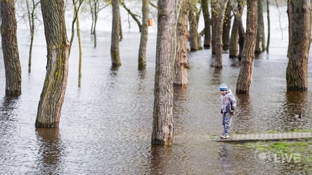 Что привело к весеннему наводнению в Украине: эксперт назвал две причины - 285x160