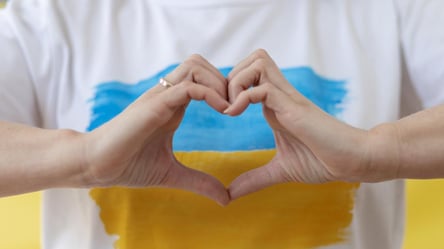 В Киеве в честь Дня Независимости запустили сервис для объединения волонтеров - 285x160