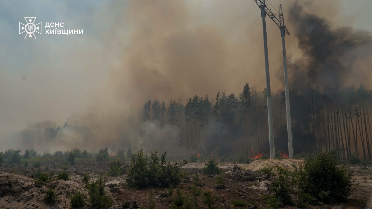 ДСНС повідомила про ситуацію з пожежами в Чорнобильській зоні - фото 1
