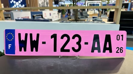 На какие автомобили нужно устанавливать розовые номерные знаки - 285x160