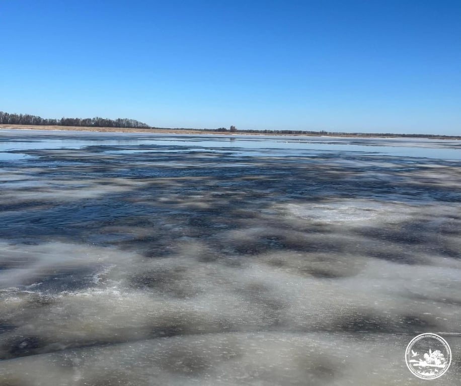 Водопілля у Чорнобильському заповіднику