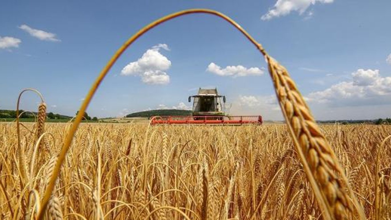 Во Львове ожидается катастрофический рост цен на хлеб и другие продукты - 250x140