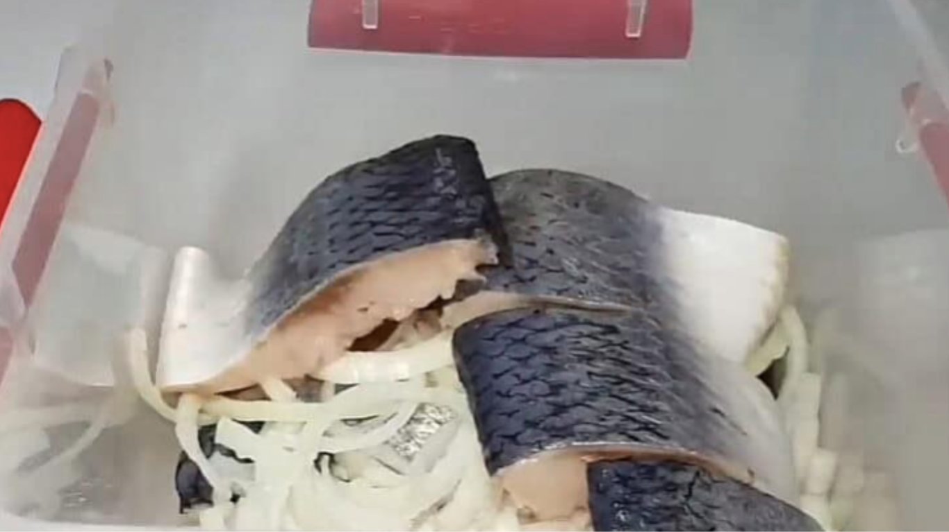 маринований оселедець