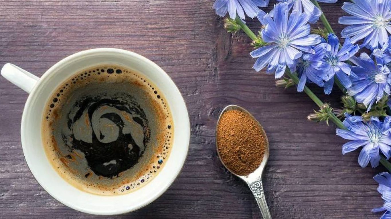 чим корисний цикорій 