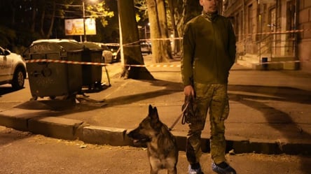 Убил и расчленил мать: в Одессе расследуют обстоятельства убийства - 285x160