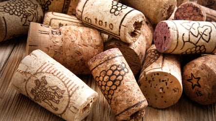 Пробки від вина рятують квіти — простий трюк для дренажу - 285x160