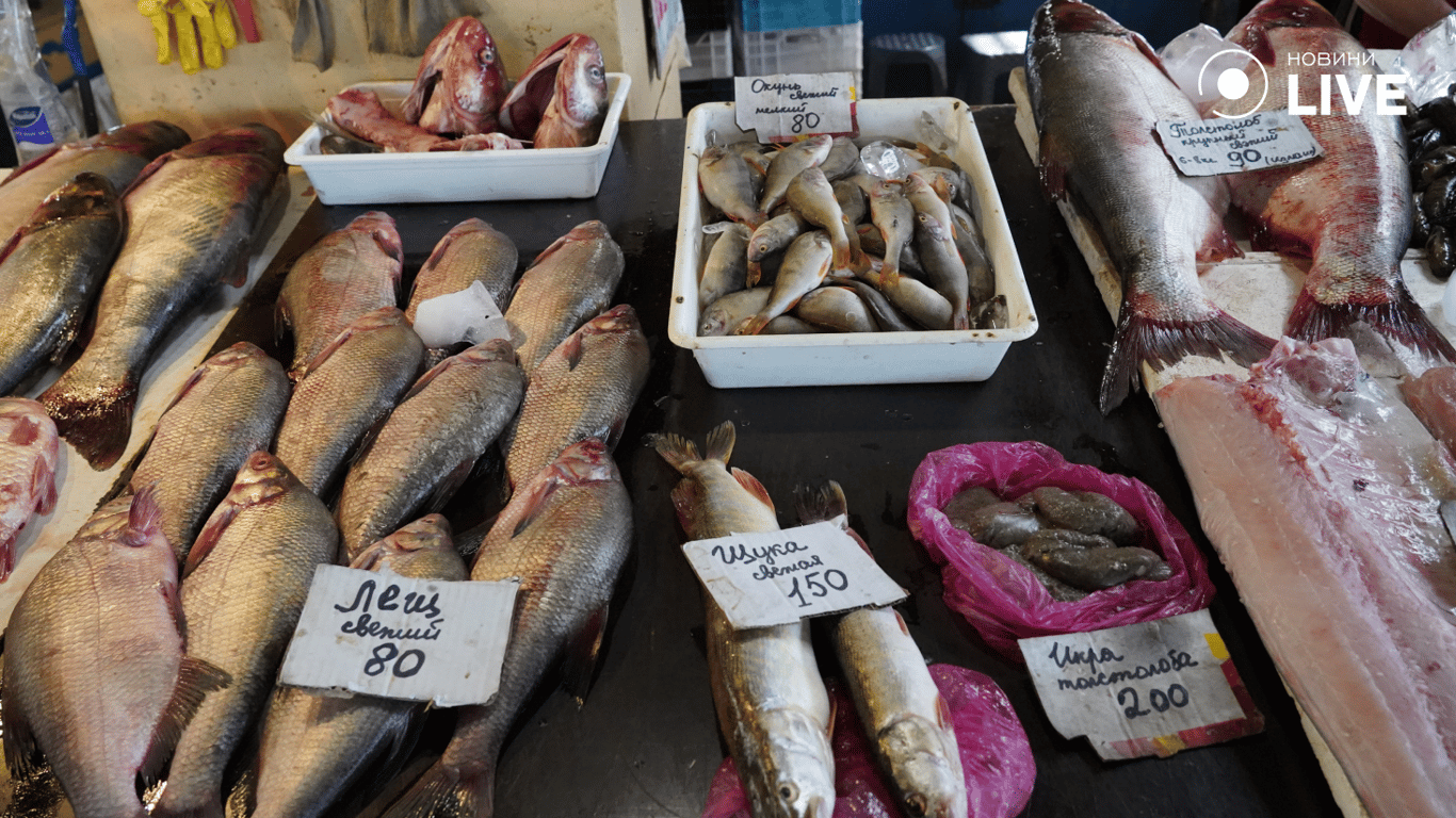 Свіжа риба на прилавку "Привоза". Фото: Новини.LIVE