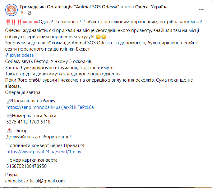 Скриншот повідомлення з фейсбук-сторінки громадської організації Animal SOS Odessa