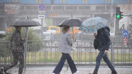 Погода в Украине сегодня — где будут дожди и туманы - 290x166