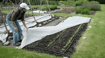 Эффективная защита огорода от непогоды — как спасти урожай от дождя, града и ветра - 285x160
