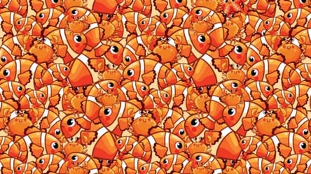 От избытка оранжевого рябит в глазах — найдите морскую звезду среди рыбок - 285x160