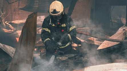 Может привести к пожару: почему даже самые качественные дрова могут представлять опасность - 285x160