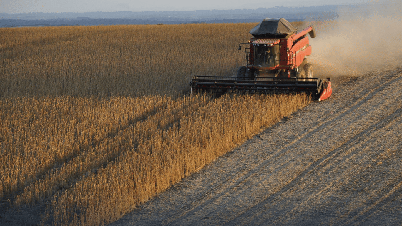 Цены на зерновые в Украине по состоянию на 1 мая 2024 года.