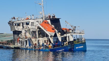 FT назвало Чорне море найсмертоноснішим морським маршрутом світу - 290x160