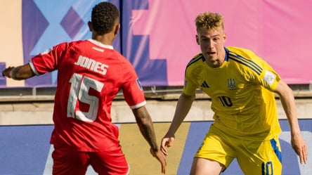 Юрист назвал виновного в дисквалификации Синчука - 285x160