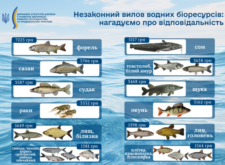 Не только штрафы — почему снасти рыбака могут отобрать в 2026 - фото 1