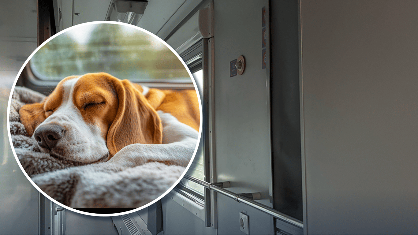Путешествие Укрзализныцей с животными: появятся ли отдельные Pet-вагоны на маршрутах