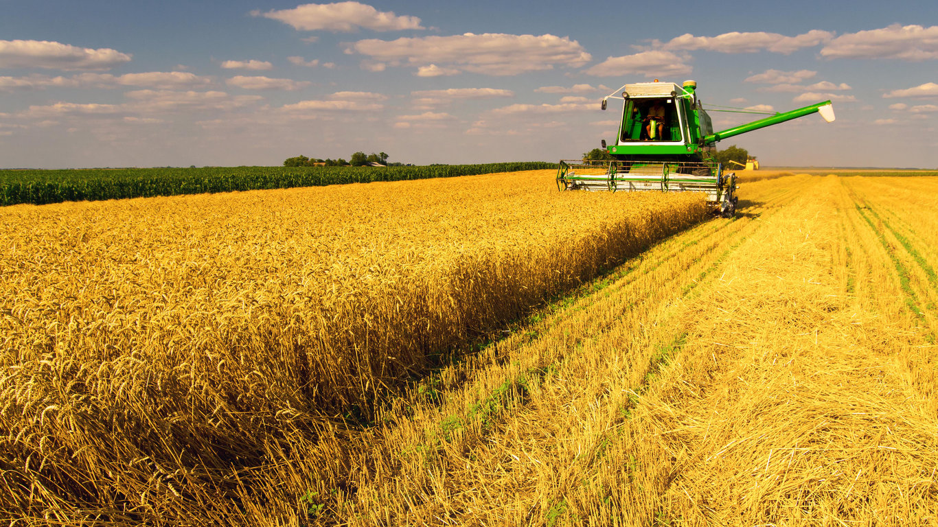 Цены на зерновые в Украине по состоянию на 6 февраля 2024 года