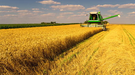 Ціни на зерно в Україні — скільки коштує ячмінь у лютому - 285x160
