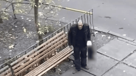 У Києві затримали чоловіка, який бив об асфальт безпритульного кота - 285x160