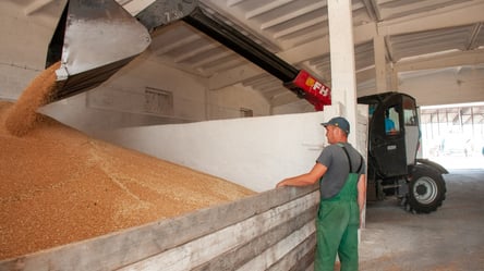 Ціни на пшеницю у грудні — як і чому подешевшав експорт - 285x160