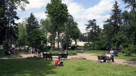 Варто побачити —  перелік локацій 29 ботанічних пам’яток природи Львова - 285x160