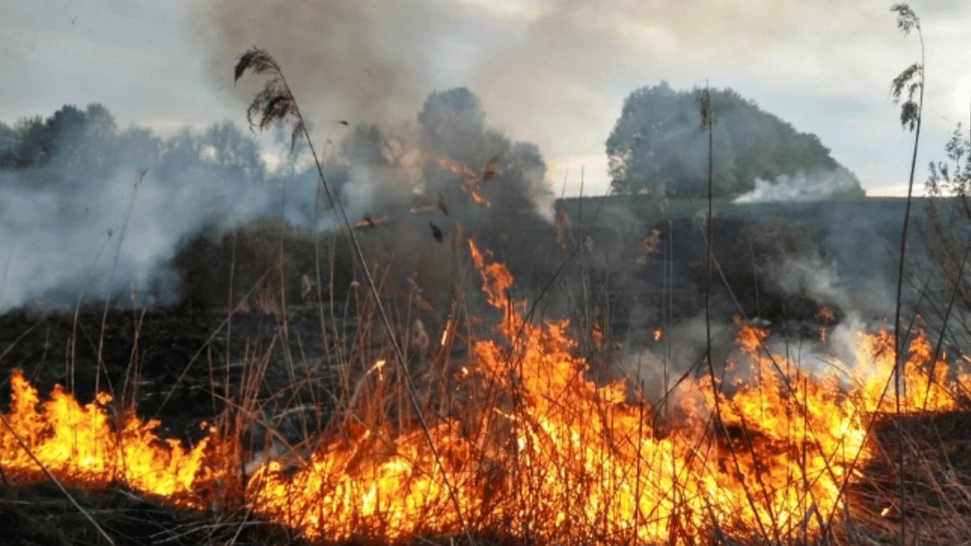 Риск пожаров остается высоким: в Укргидрометцентре дали прогноз на следующий день