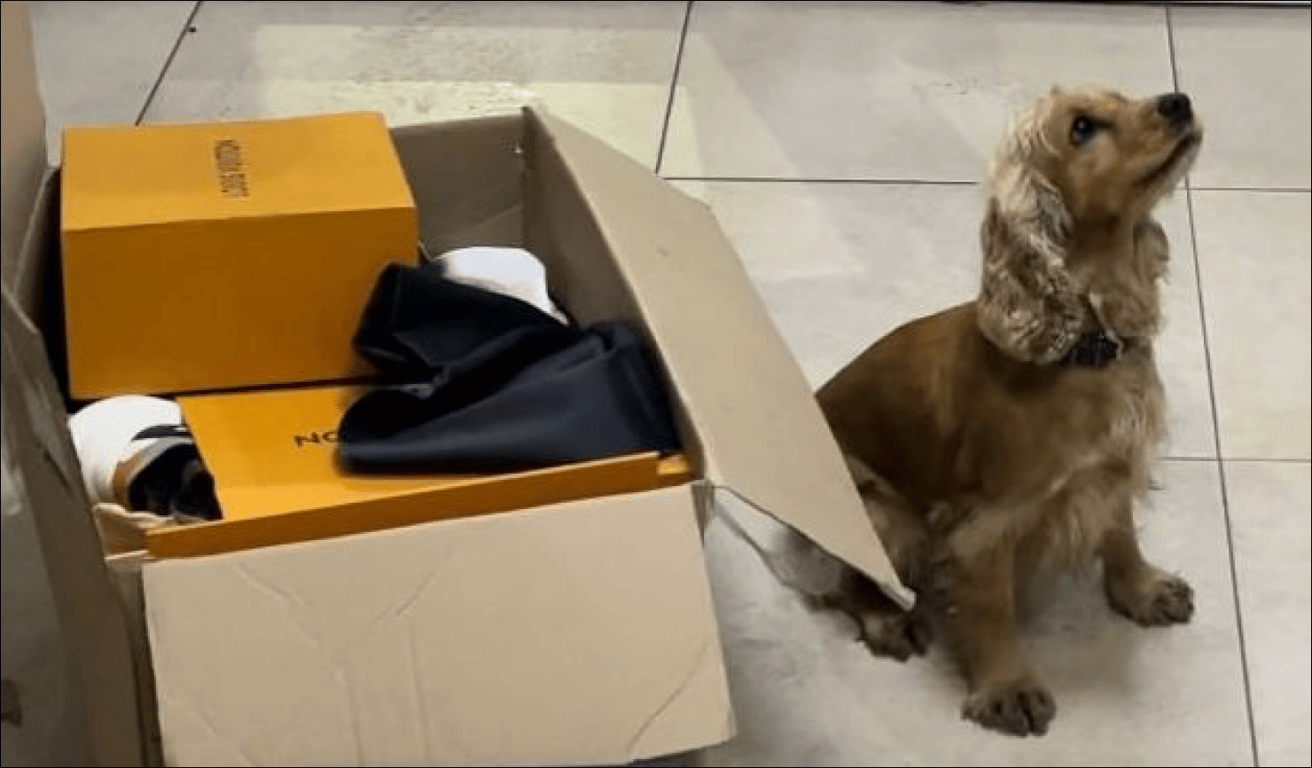 Кокаїн від Louis Vuitton — на Одещині затримали наркодилера - фото 1