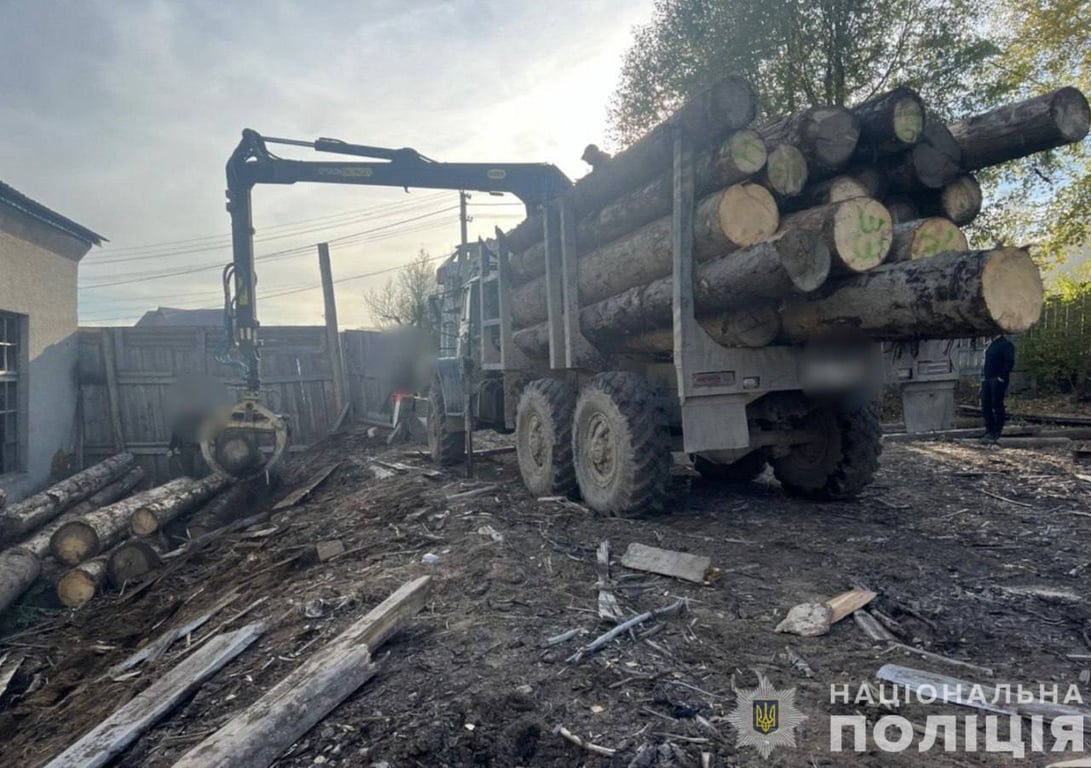 незаконне рубання деревини