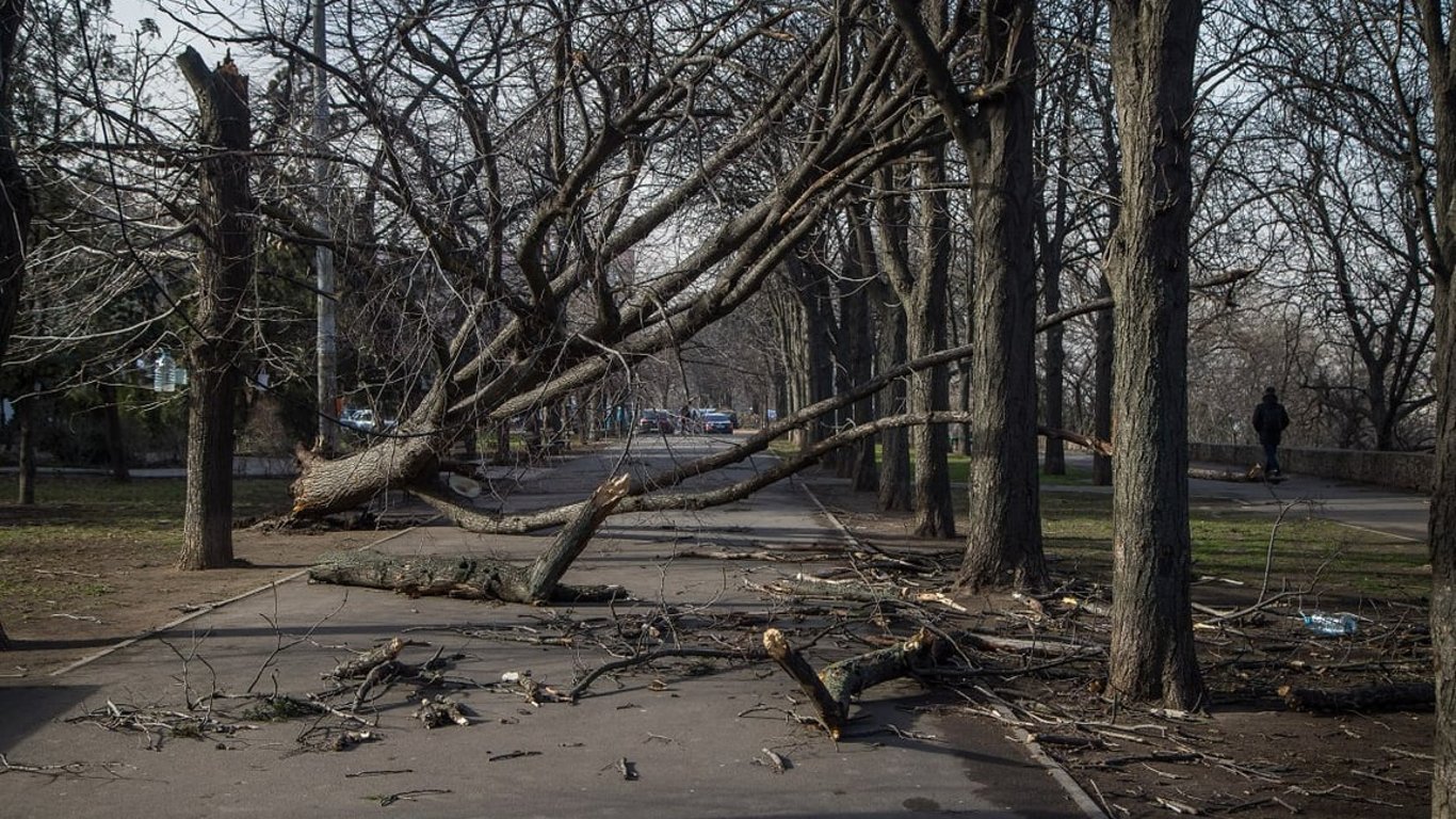 Прогноз погоды от Укргидрометцентра на завтра, 1 ноября.