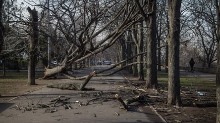 В Укргідрометцентрі попередили про небезпечну погоду завтра - 290x166