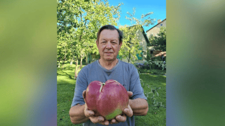 Киянин виростив величезне яблуко та став рекордсменом — фото - 290x160