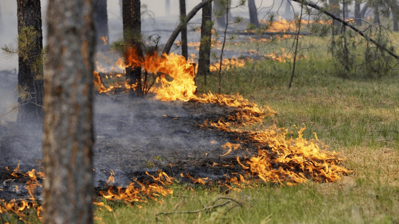 В Одесской области объявлена пожарная опасность: правила поведения
