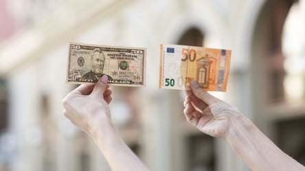Українці можуть втратити долари та євро — чому валюту вилучають - 285x160