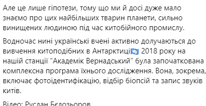 стрибки китів в Антарктиці