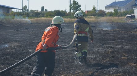 Пів тисячі пожеж на Одещині: яка основна причина загорянь - 285x160