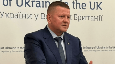 Традиційний підхід до мобілізації себе вичерпав, — Залужний - 285x160