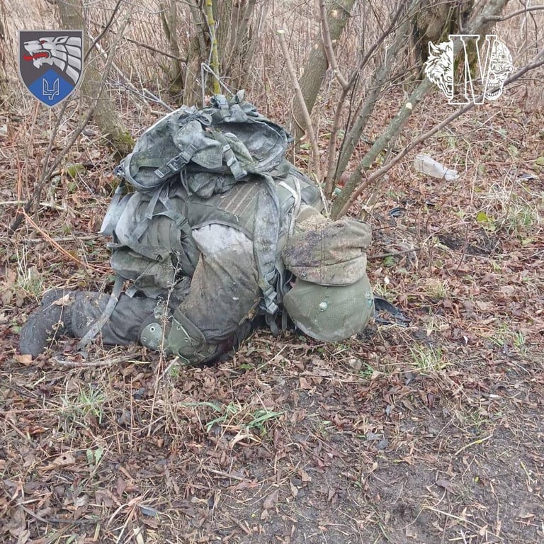 Знищення військових КНДР: операція ССО на Курщині