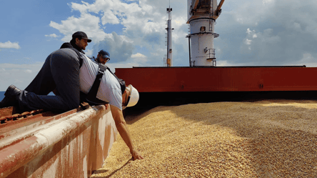 Румыния и Польша хотят контролировать экспорт украинского зерна - 285x160