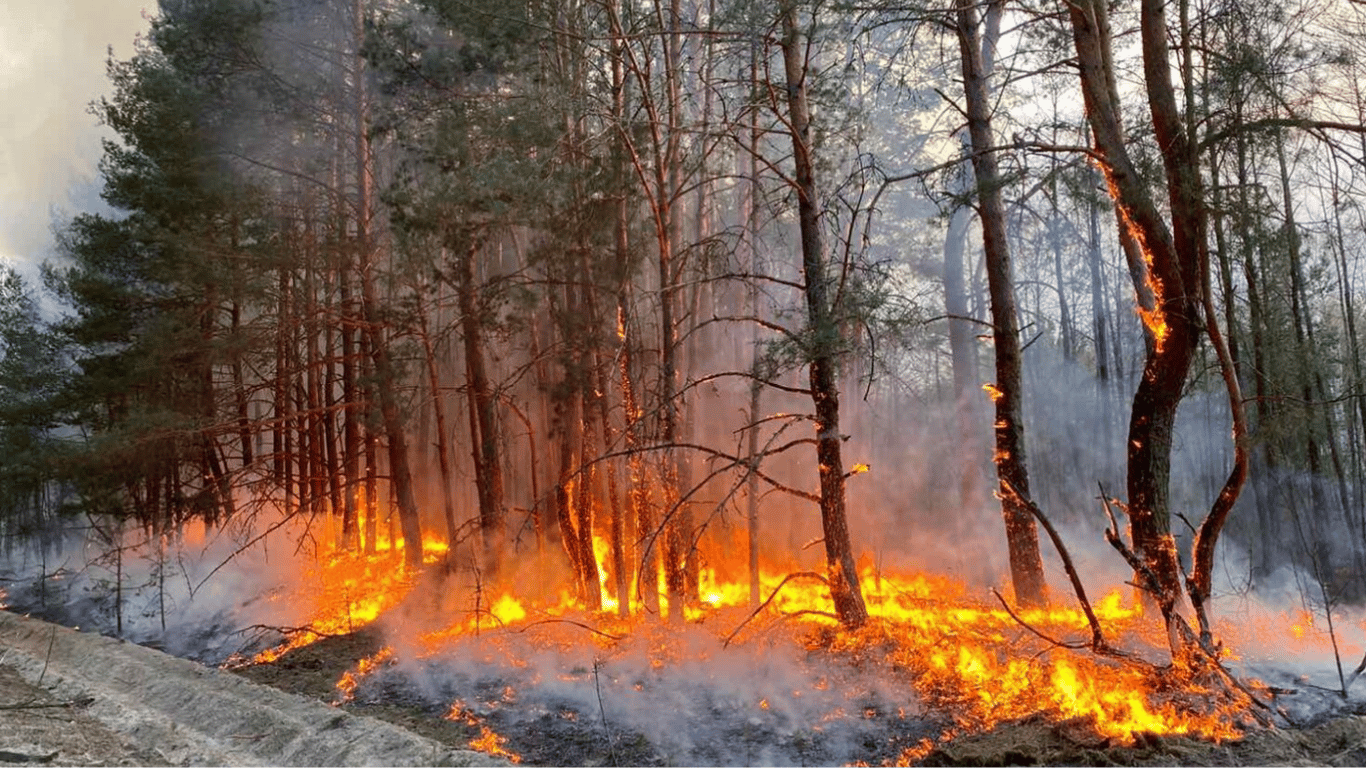 Прогноз погоды в Украине на завтра 20 августа от Укргидрометцентра.