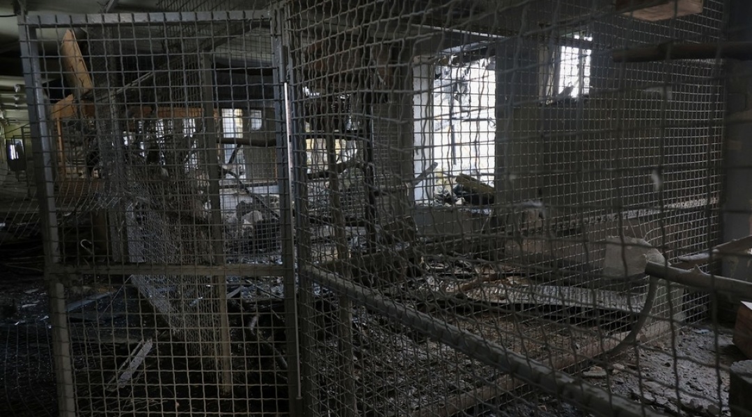 Удар Росії по Фельдман Екопарк 1 січня