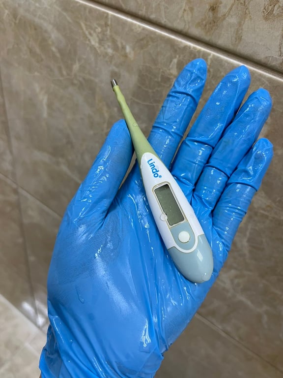 Вилучений термометр. Фото: Волинське обласне медоб'єднання захисту материнства і дитинства