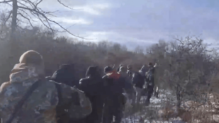 Бежали через леса в Венгрию — пограничники задержали девятерых уклонистов - 285x160