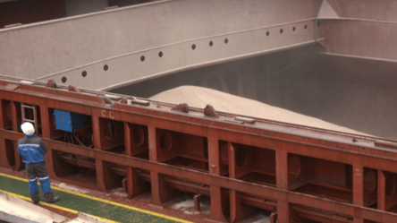 В Одессе арестовали тысячи тонн сои, ее хотели вывезти нелегально - 285x160