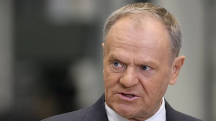 Туск відповів, чи передасть Польща винищувачі МіГ-29 Україні - 285x160