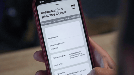 Витяг з "Оберегу" з печаткою ТЦК — як отримати за кордоном - 285x160