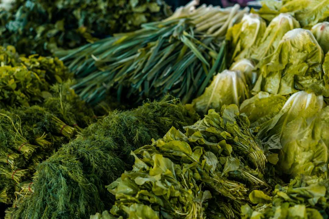 Укроп, лук, салат и другая зелень