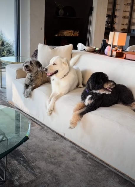 Дженніфер Еністон обрала диван кольору, який всі бояться купувати (фото) - фото 1